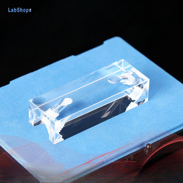 Quartz Flowing Cells Quartz 0.2mm Smaple Flowing Cuvettes | Labshopx